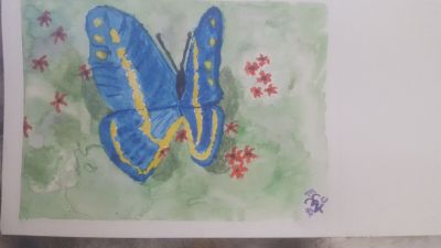 Birthday Card - Blue Butterfly over the flowers

