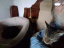 Foster_Pippy_In_Cat_Bed_20211030_105652.jpg