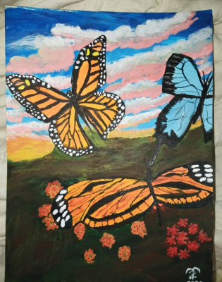 Multiple butterflies over the dark fields, at Sunset
