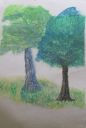 Watercolor_Tree_Studies_4363.JPG