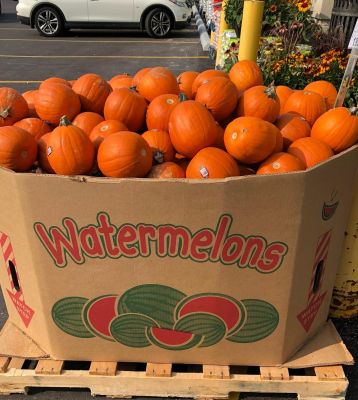 Wrong Box, Sonny!
Pumpkins in a box marked Watermelons
Keywords: One Job;Watermelon;Pumpkin