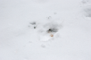 The_Hill_Snow_20220312_0203.png