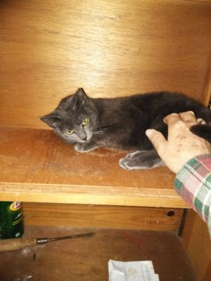 Foster_Pippy_In_Cabinet_20210412_082932
