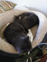 Foster_Pippy_And_Victoria_20220314_094339.jpg
